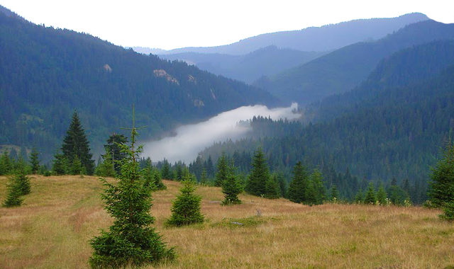 Viitoare stațiune montană de top în județul Cluj