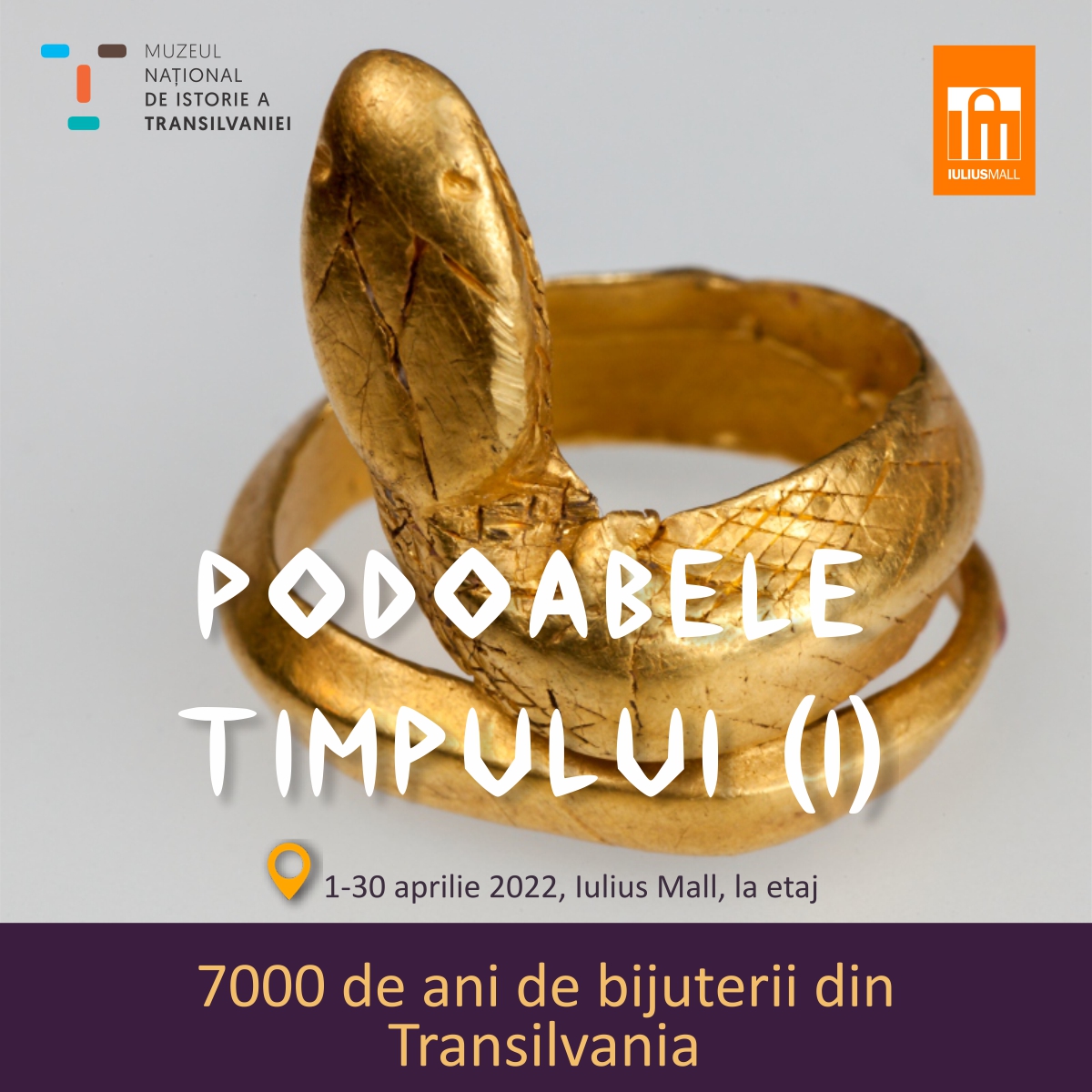 7.000 de ani de bijuterii din Transilvania. Descoperă, la Iulius Mall, poveştile celor mai frumoase podoabe din colecțiile Muzeului Național de Istorie a Transilvaniei!