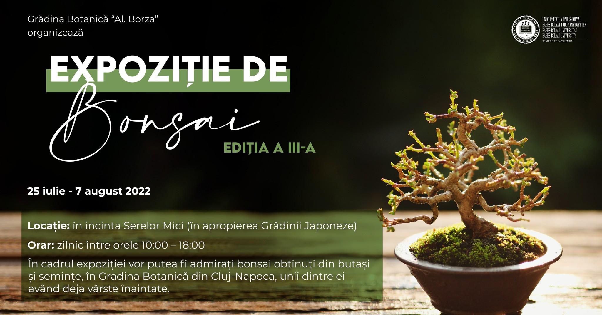 Expoziția de Bonsai, din nou la Grădina Botanică Cluj-Napoca