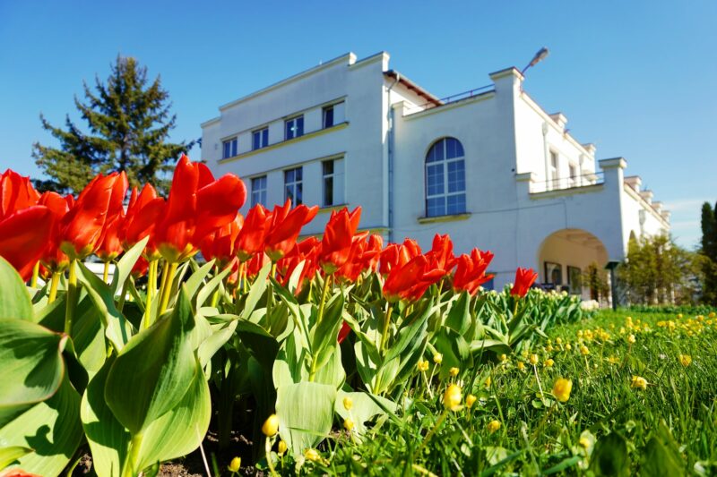 Record de vizitatori la Grădina Botanică din Cluj în acest an
