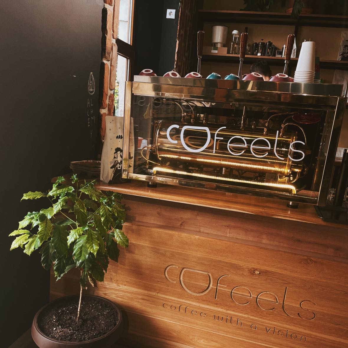 Cofeels Cluj-Napoca, prima cafenea socială, a câștigat premiul Google – Recenzia de Aur 2022