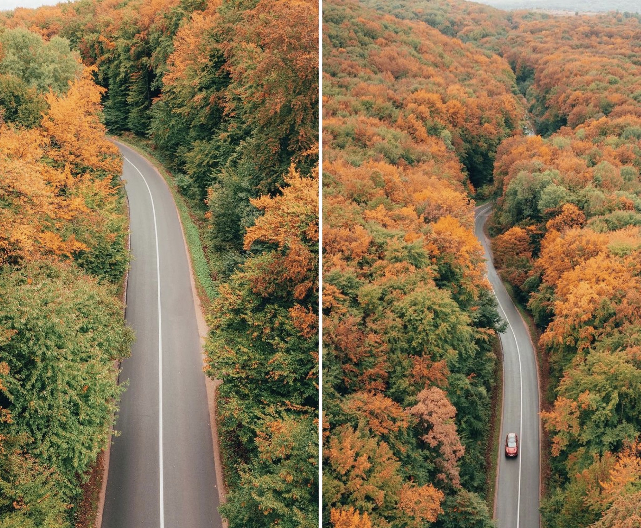 Imagini superbe filmate cu drona in Făget. Padurea isi schimba culoarea. VIDEO