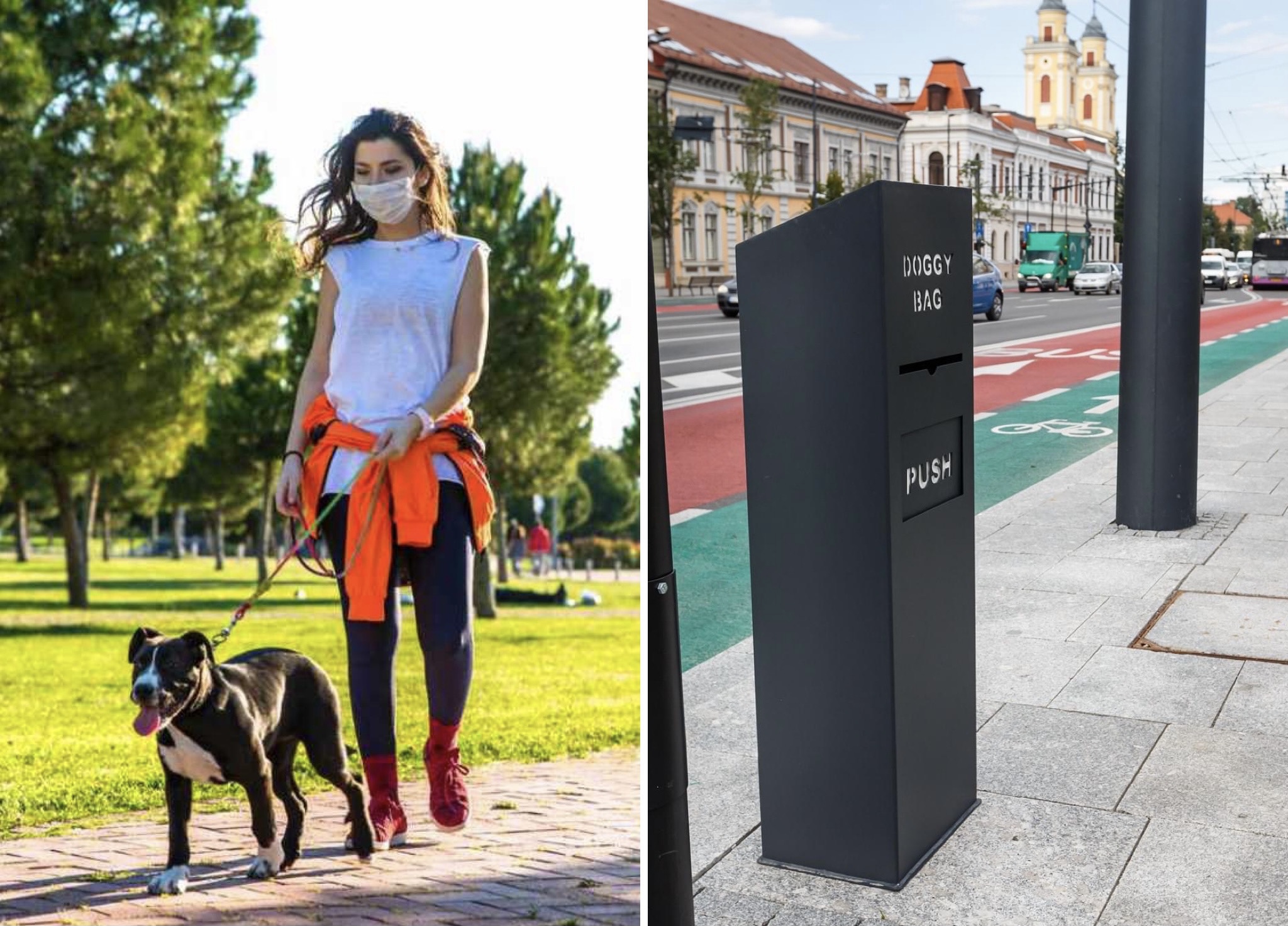 La Cluj au fost instalate 72 de coșuri de gunoi cu dispenser de pungi pentru câini. Vezi unde sunt amplasate. FOTO