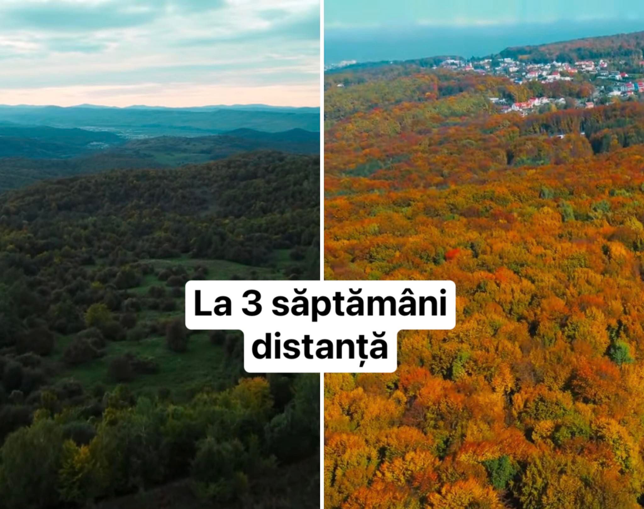 Peisaje superbe de toamnă surprinse cu DRONA la Ciurila, Cluj. Cum s-a schimbat culoarea pădurii în doar 3 săptămâni