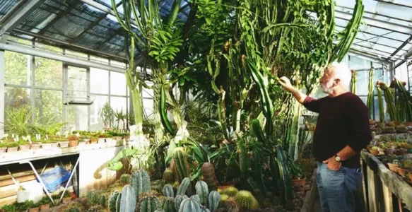 Aventură Botanică la Cluj: Descoperiți Sera Plantelor Suculente