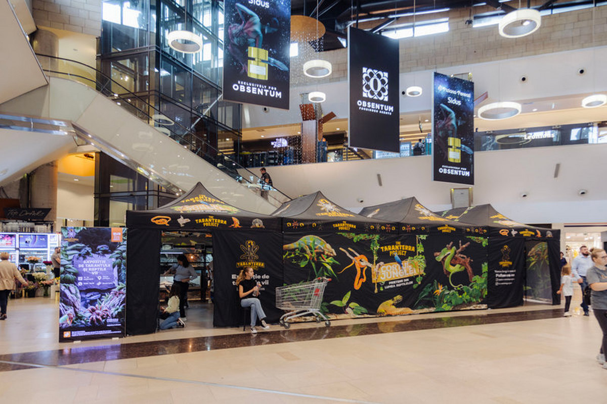 GALERIE FOTO: Pitoni, boa constrictor, țestoase aligator și tarantule gigant sunt atracțiile ce pot fi văzute în cadrul expoziției din Iulius Mall Cluj până duminică