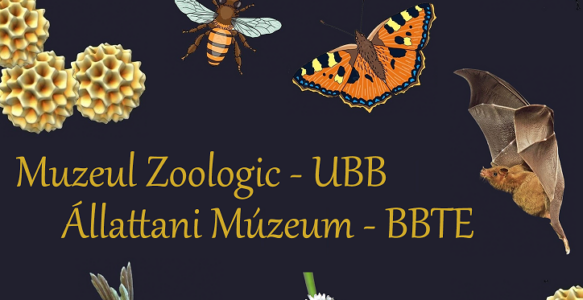 Ziua Polenizatorilor, celebrată la UBB