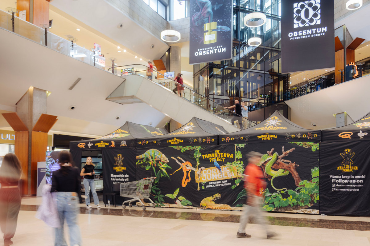 Expoziția educativă de tarantule și reptile vii revine la Iulius Mall Cluj cu exemplare spectaculoase